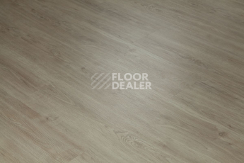 Tarkett Funky House GUSTO фото 5 | FLOORDEALER